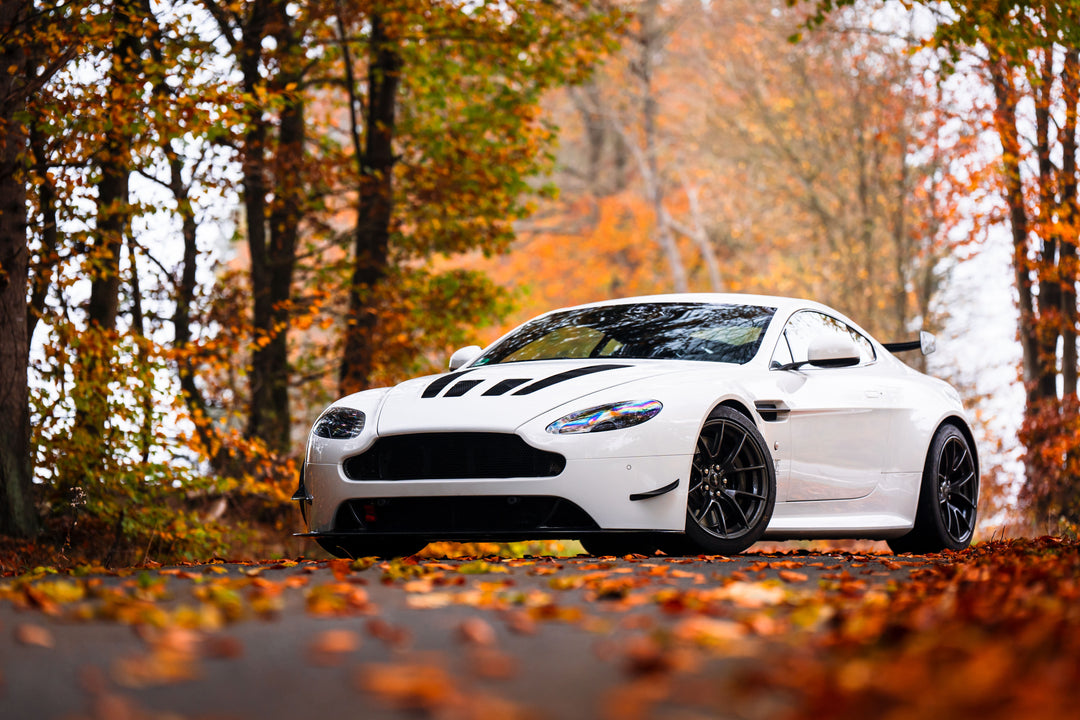 AMR Style GT4 Carbon Fibre Dive Planes